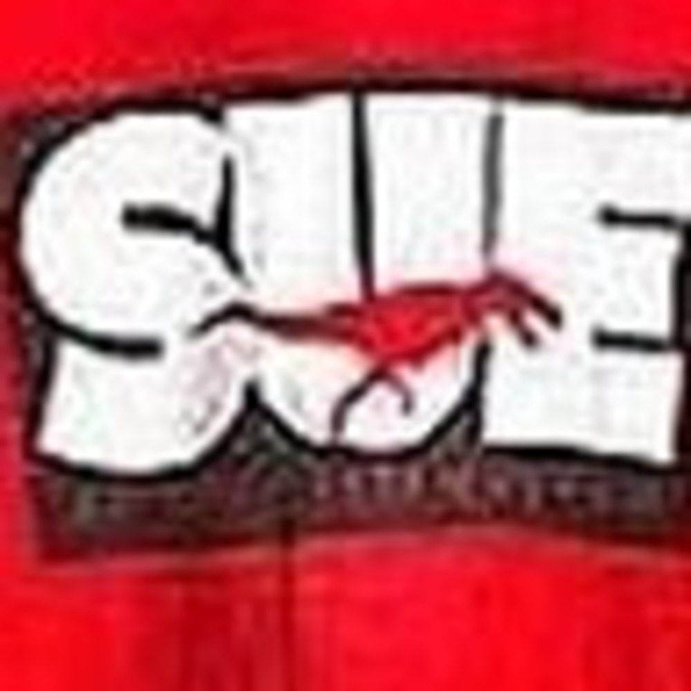 Meet your Posher, Sue